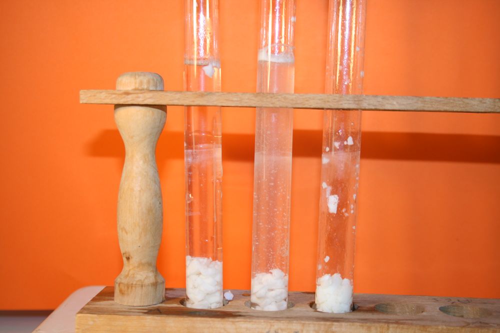 gal/LES_CINQUIEMES/ACTIVITE DIGESTION IN VITRO/Groupe_04/Groupe04_T_01h20min/Groupe04_T_01h_20min_16.JPG